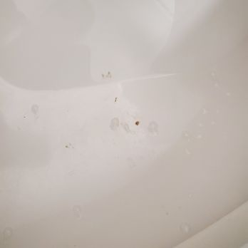 Dirt Cheap Cleaning Inc - Home Cleaning Near Me - Huntington, New York Dirt Cheap Cleaning Inc - Home Cleaning Near Me - Huntington, New York
