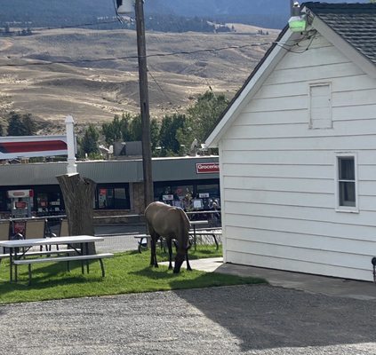 Hillcrest Cottages by null