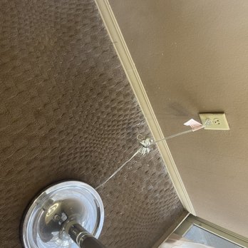 Sheraton Orlando North Hotel - More back mold - Hotels Near Me - Maitland, Florida Sheraton Orlando North Hotel - More back mold - Hotels Near Me - Maitland, Florida