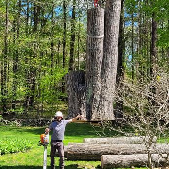 Freedom Tree - Tree Services Near Me