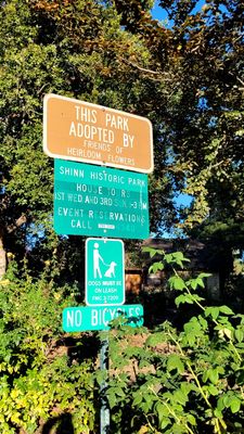 Shinn Historical Park and Arboretum by null