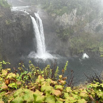 Evergreen Escapes - Tours Near Me - Seattle, Washington