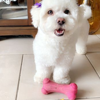 PetSmart - Pet Stores Near Me - Corona, California PetSmart - Pet Stores Near Me - Corona, California