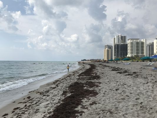 Palm Beach Marriott Singer Island Beach Resort & Spa by null