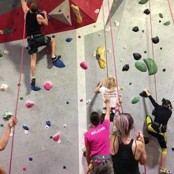 Vertical Ventures - Rock Climbing Near Me - St. Petersburg, Florida