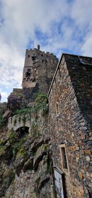 Rheinstein Castle by null
