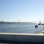 Photo of Sea Me By The River