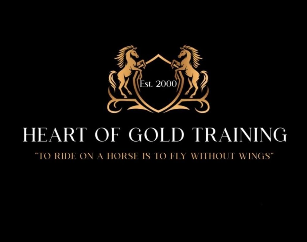 Heart Of Gold Training - equestrian in Orlando, FL
