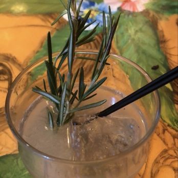 The Bebedero - Romero Paloma - Mexican Near Me - Charlottesville, Virginia