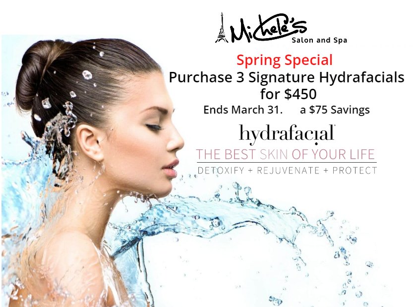 Michele's Salon & Spa Logo