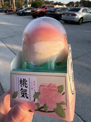 Mi Pueblo Grocery Store