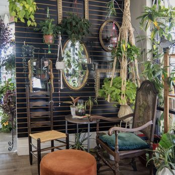Bloom & Brew - Coffee & Tea Near Me - Gilbert, Arizona