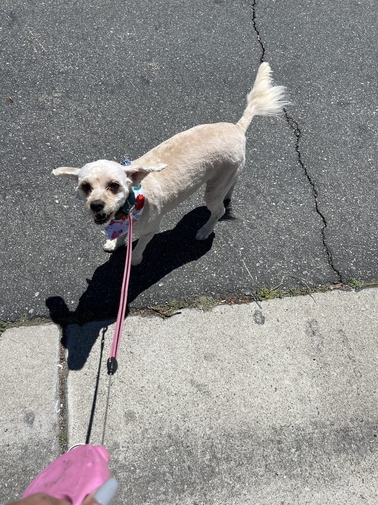 VICTORIA ANIMAL HOSPITAL Updated September 2024 15 Photos & 73 Reviews 3400 Arlington Ave