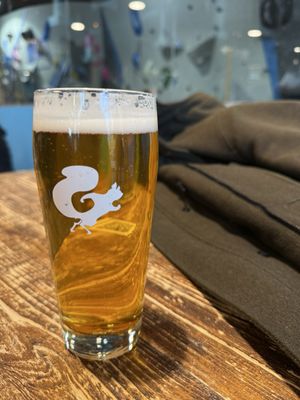 Mighty Squirrel Taproom & Kitchen by null