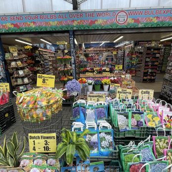 Amsterdam Flower Market - Florists Near Me - Amsterdam, New Hampshire