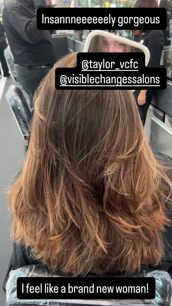 Visible Changes Logo