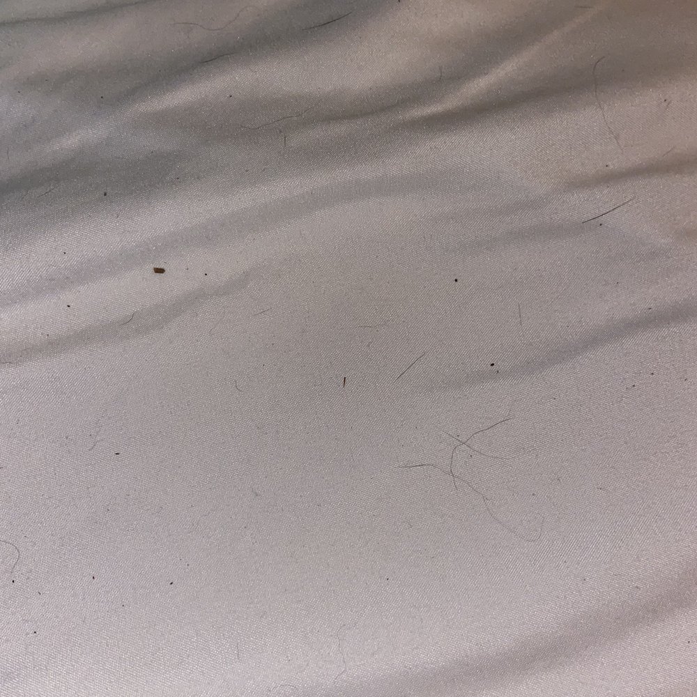 "Clean sheets"
