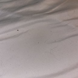 "Clean sheets"