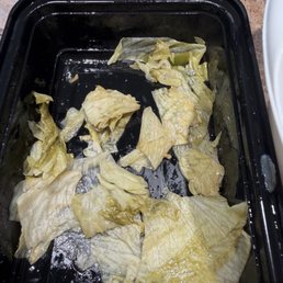 Iceberg lettuce in the bottom on the container. Iceberg lettuce in the bottom on the container.