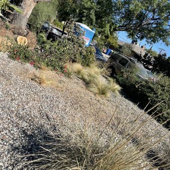 The Gardener - Tree gone and area cleaned up - Landscaping Near Me The Gardener - Tree gone and area cleaned up - Landscaping Near Me