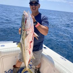 Captain Clowers Charters & Guide Services - Yellowtail on fishing charter