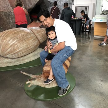 Bishop Museum - Museums Near Me - Honolulu, Hawaii