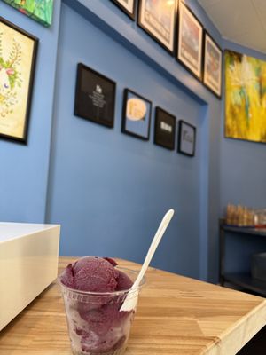 Mount Desert Island Ice Cream by null