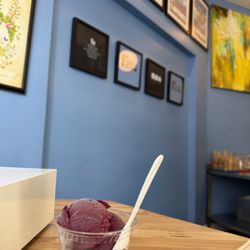 Mount Desert Island Ice Cream