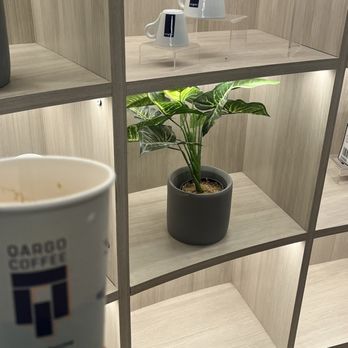 Qargo Coffee - Coffee & Tea Near Me - Berkeley, California Qargo Coffee - Coffee & Tea Near Me - Berkeley, California