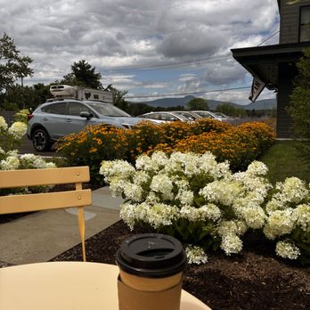 Cups Coffee - Flowers in full bloom at Cups Coffee. - Coffee & Tea Near Me - Germantown, New York Cups Coffee - Flowers in full bloom at Cups Coffee. - Coffee & Tea Near Me - Germantown, New York