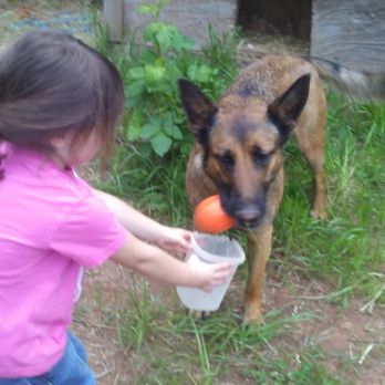 Prodogz Dog Training - Pet Training Near Me - Medford, Oregon Prodogz Dog Training - Pet Training Near Me - Medford, Oregon