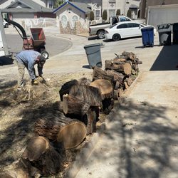 Daniell's Tree & Lawn Service - Daniell's Tree Service is the best!