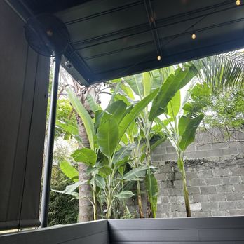 Birdy’s Behind the Bower - Breakfast & Brunch Near Me - New Orleans, Louisiana Birdy’s Behind the Bower - Breakfast & Brunch Near Me - New Orleans, Louisiana