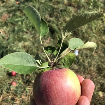 Outhouse Orchards - Fruits & Veggies Near Me - North Salem, New York