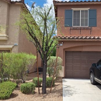 Green Yard Service - Tree Services Near Me - Las Vegas, Nevada Green Yard Service - Tree Services Near Me - Las Vegas, Nevada
