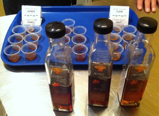 Tours Voir Quebec by null