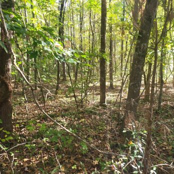 Minks Land Management - Tree Services Near Me - Rougemont, North Carolina Minks Land Management - Tree Services Near Me - Rougemont, North Carolina