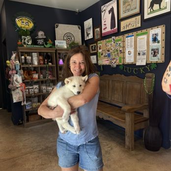 Sawgrass Pet Resort - This was the wolf puppyI was handed. It was kept on site. Since my dogs died I inquired about this dog; health, vaccines? - Pet Training Near Me - Ponte Vedra Beach, Florida