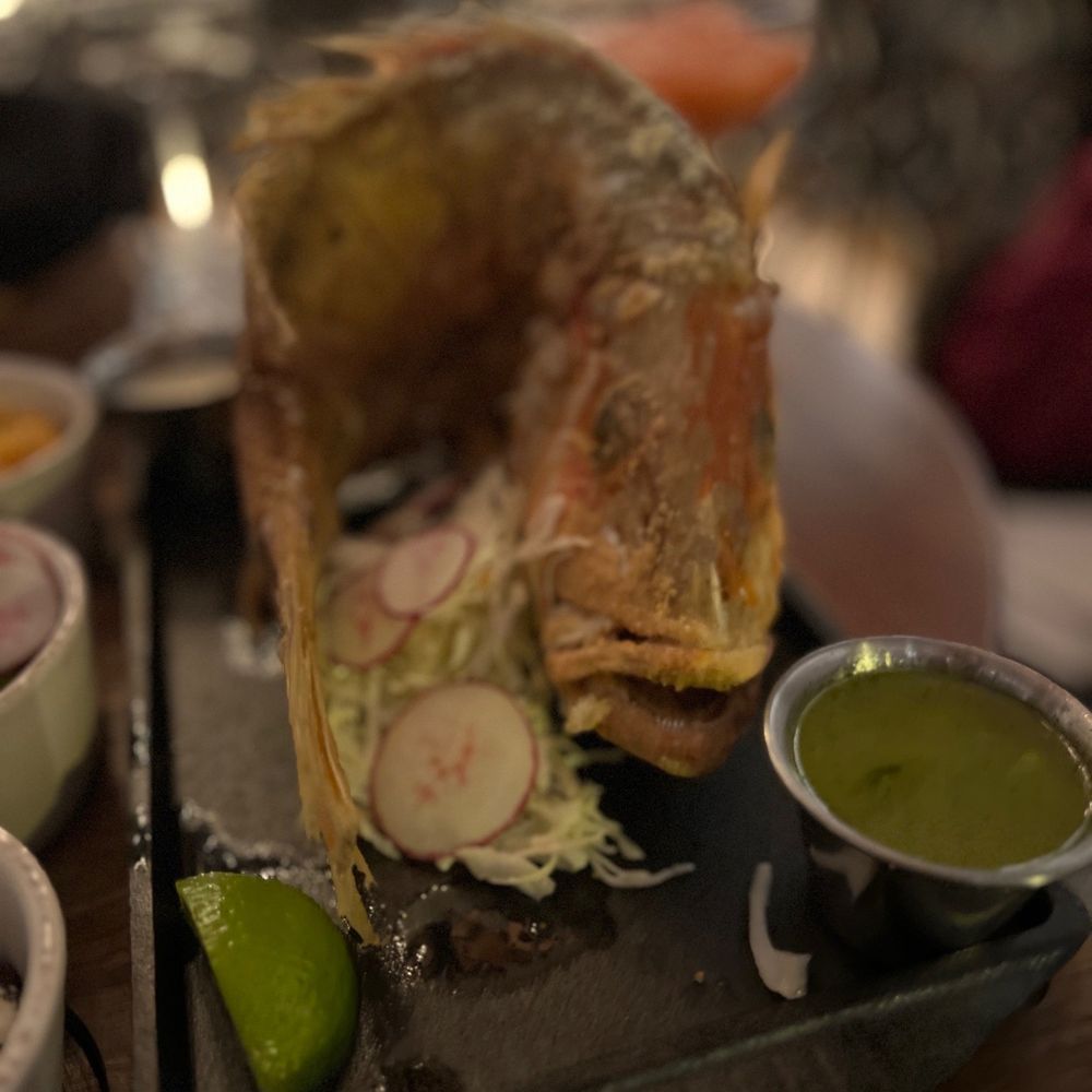 My Neighbor Felix Centennial - Whole red snapper - Mexican Near Me - Centennial, Colorado My Neighbor Felix Centennial - Whole red snapper - Mexican Near Me - Centennial, Colorado