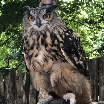 Dallas Zoo - Zoos Near Me - Dallas, Texas
