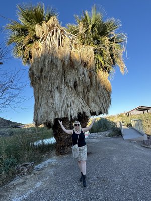 Lake Mead National Recreation Area by null