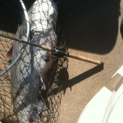 Redneck Fishin Tours