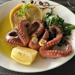 Café Império - Polvo (octopus)