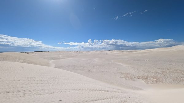 Lancelin Sand Dunes by null