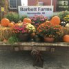 Barbott Farms & Greenhouses gift card