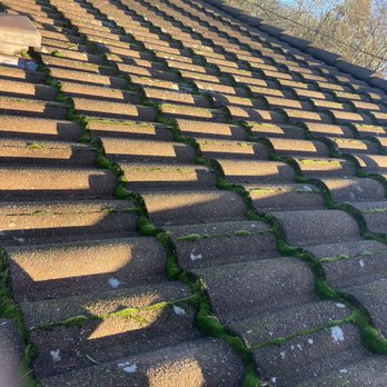 Man on the Edge - Moss everywhere before - Gutter Services Near Me - Portland, Oregon