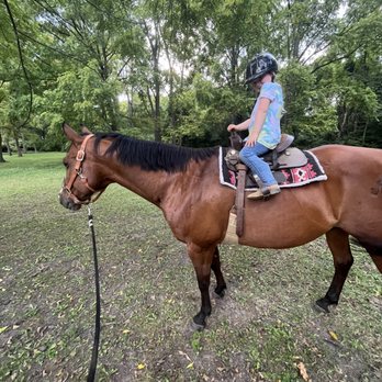 7 SE Training - Horseback Riding Near Me - Beavercreek, Ohio 7 SE Training - Horseback Riding Near Me - Beavercreek, Ohio