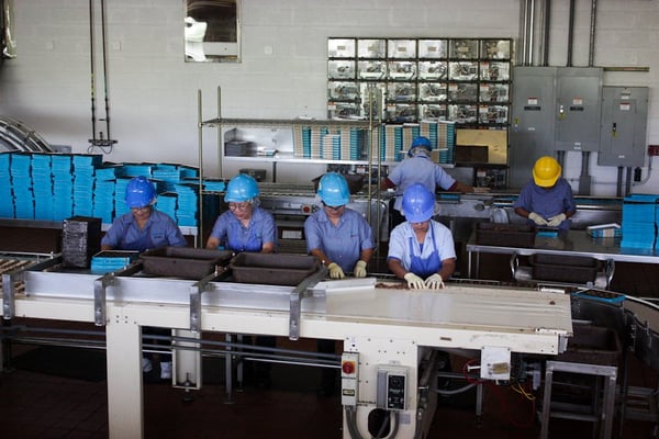 Mauna Loa Macadamia Nut Visitor Center by null