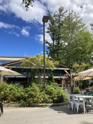 Bite into Maine by null