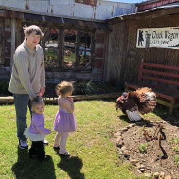 Three Chicks Feed, Seed & Cafe - A big ol' turkey! - Cafes Near Me - Texarkana, Arkansas Three Chicks Feed, Seed & Cafe - A big ol' turkey! - Cafes Near Me - Texarkana, Arkansas